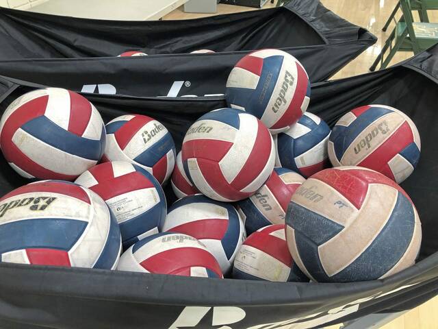 Baldwin, Our Lady of the Sacred Heart make big moves in WPIAL boys volleyball rankings | Trib HSSN